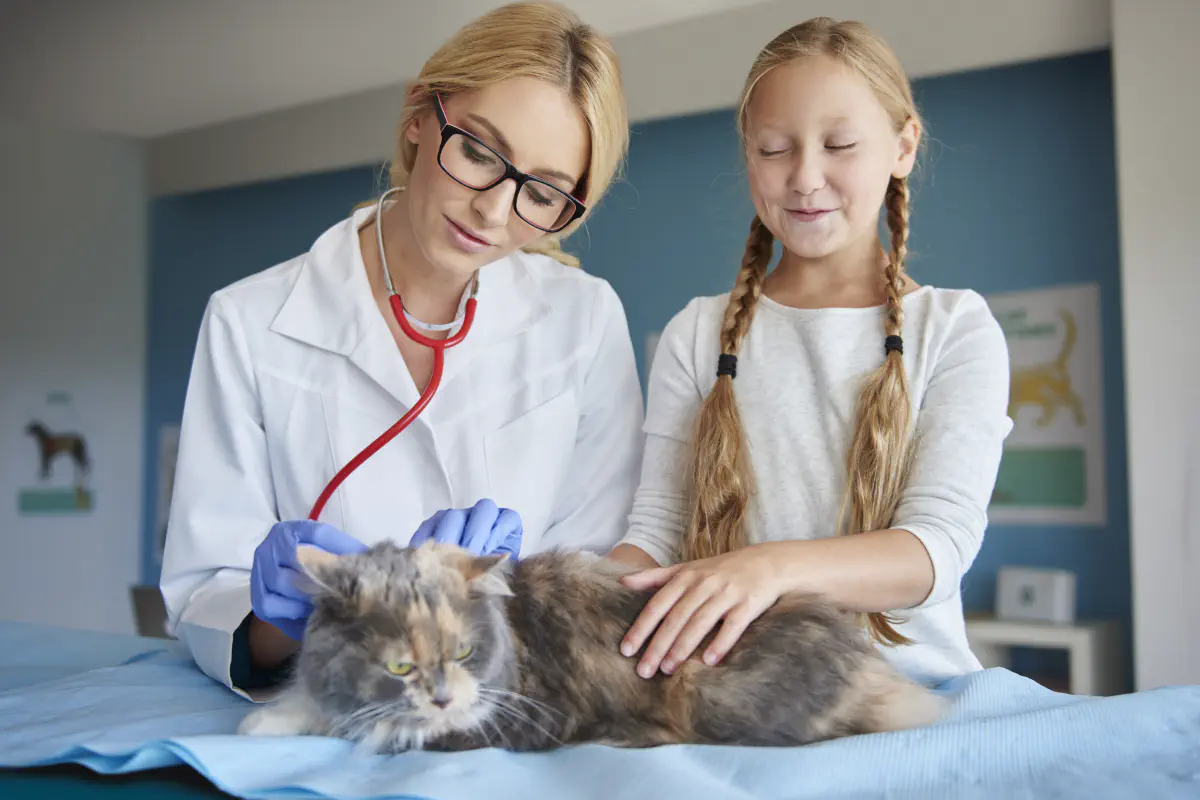 5 Key Benefits of a Mobile App for Veterinary Practices